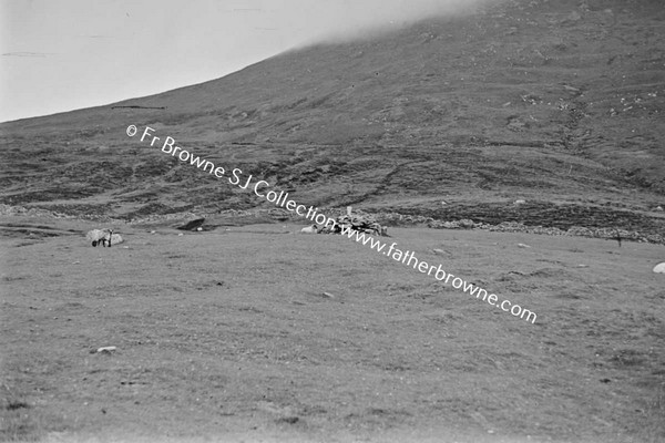 ACHILL HEAD